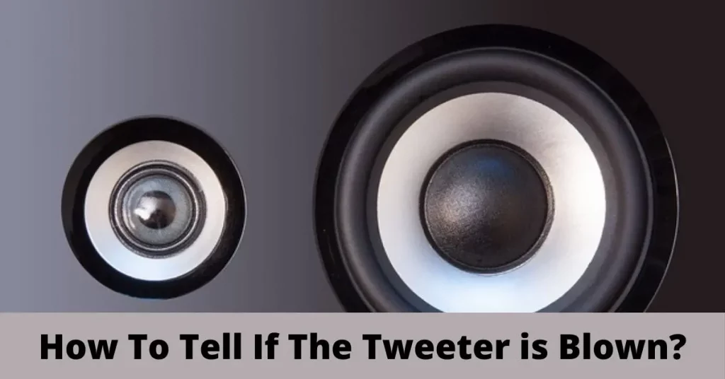 How To Tell If The Tweeter is Blown